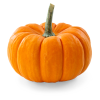 Gourds