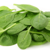 Spinach